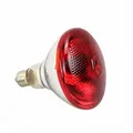 Lampe chauffante industrielle pour poulets et porcs – 5