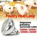 Lampe chauffante infrarouge 100 à 250W pour couveuse – 1