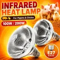 Lampe chauffante infrarouge 100 à 250W pour couveuse – 3