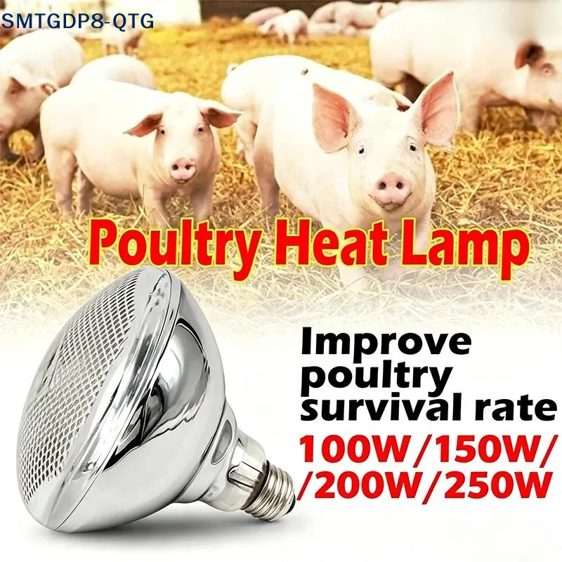 Lampe chauffante infrarouge 100 à 250W pour couveuse