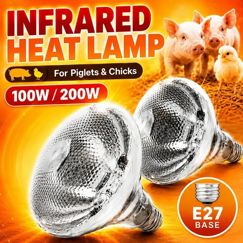 Lampe chauffante infrarouge 100 à 250W pour couveuse