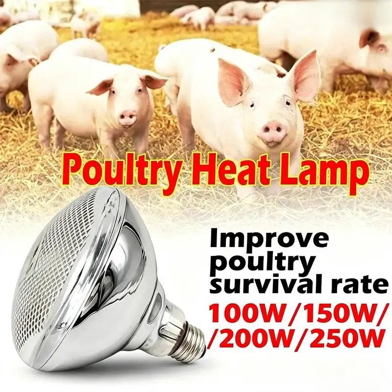 Lampe chauffante infrarouge 100 à 250W pour couveuse