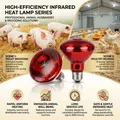 Lampe chauffante infrarouge 100 à 275W pour poulailler reptiles – 1