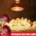 Lampe chauffante infrarouge 100 à 275W pour poulailler reptiles – 4