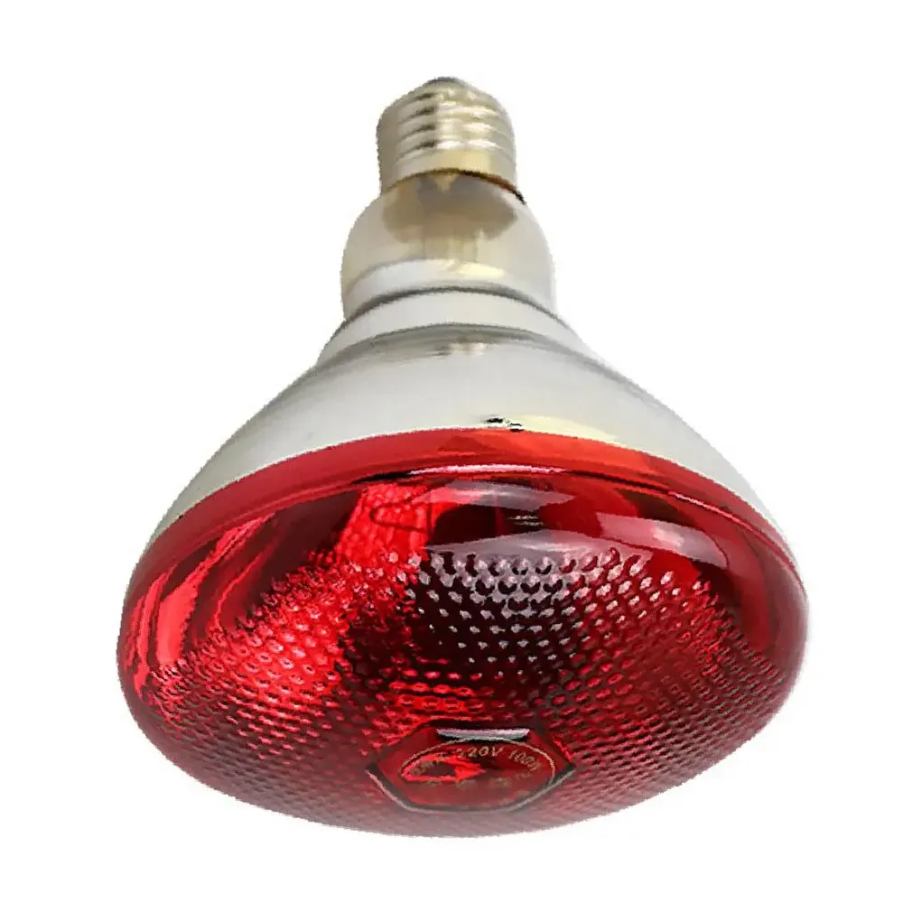Lampe chauffante infrarouge 100 à 275W pour poulailler reptiles