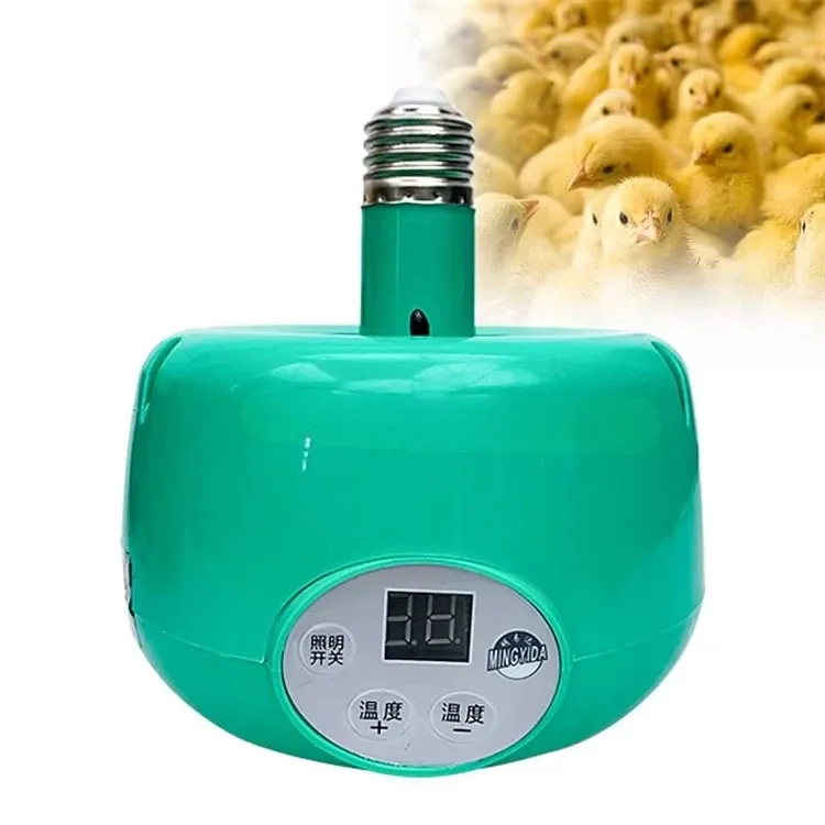 Lampe chauffante professionnelle verte 220V pour poulailler