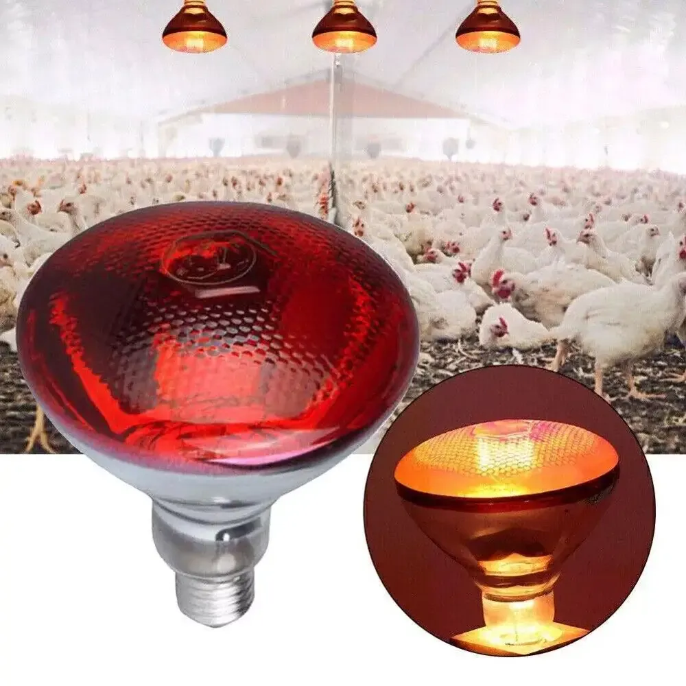 Lampe chauffante rouge 100 à 275W pour reptiles amphibiens