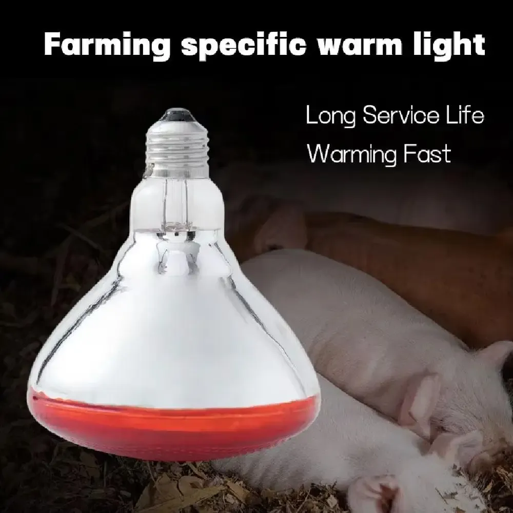 Lampe chauffante rouge 100 à 275W pour reptiles amphibiens
