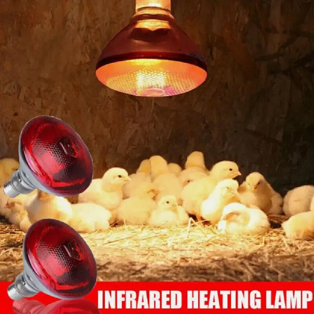 Lampe chauffante rouge 100 à 275W pour reptiles amphibiens