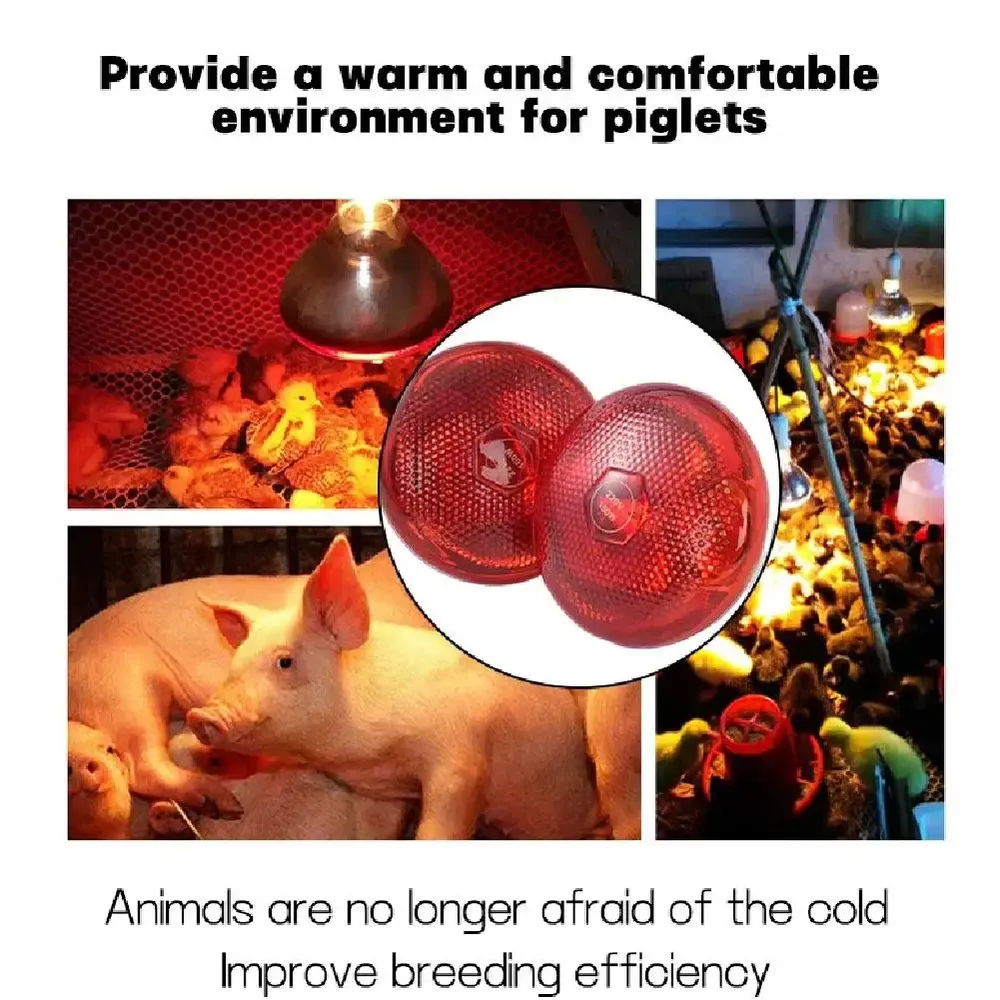 Lampe chauffante rouge 100 à 275W pour reptiles amphibiens