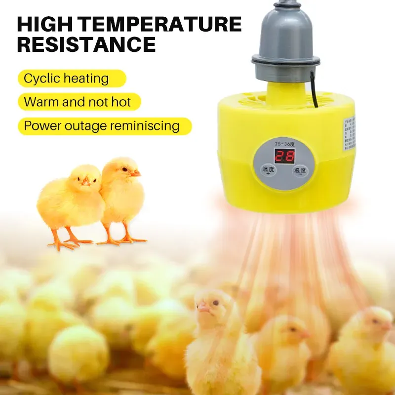 Lampe chauffante thermostatique 150W pour animaux de ferme