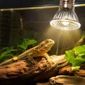 Lampe chauffante UVA UVB 25 à 75W pour reptiles et poussins – 1