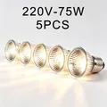 Lampe chauffante UVA UVB 25 à 75W pour reptiles et poussins – Couleur 220V-75W 5PCS