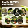 Lampe chauffante UVA UVB 25 à 75W pour reptiles et poussins – 5