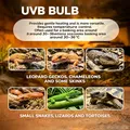 Lampe chauffante UVA UVB 25 à 75W pour reptiles et poussins – 6