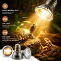 Lampe chauffante UVA UVB 25 à 75W pour reptiles et poussins – 6