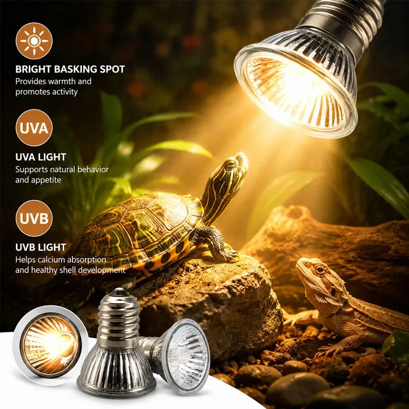 Lampe chauffante UVA UVB 25 à 75W pour reptiles et poussins