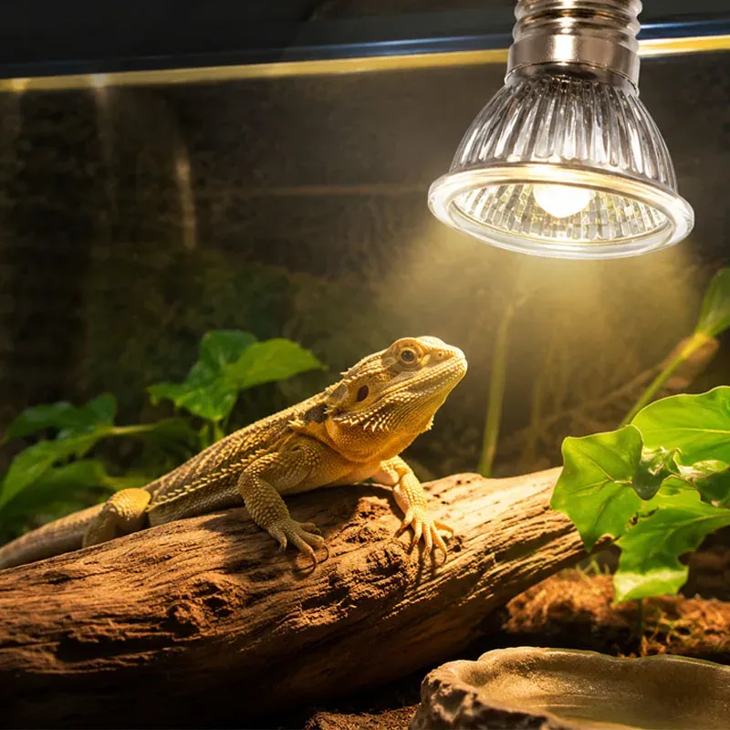 Lampe chauffante UVA UVB 25 à 75W pour reptiles et poussins
