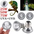 Lampe thermique UVA UVB 20 à 75W pour reptiles et animaux – 1