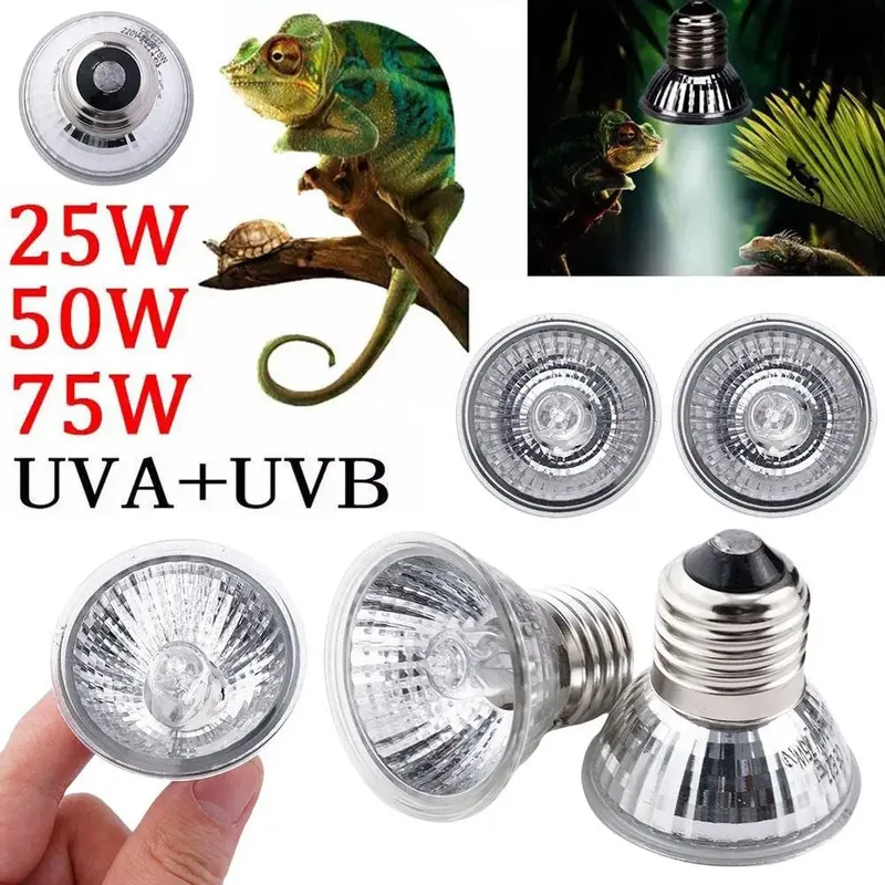 Lampe thermique UVA UVB 20 à 75W pour reptiles et animaux