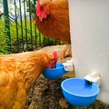 Lot de 10 abreuvoirs automatiques bleus pour poulets – 4