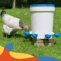 Lot de 10 abreuvoirs automatiques bleus pour poulets – 7