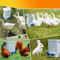 Lot de 10 abreuvoirs automatiques bleus pour poulets – 8