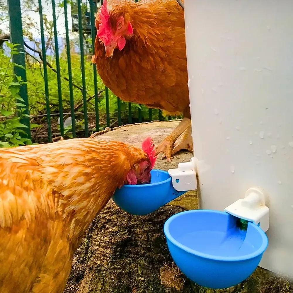 Lot de 10 abreuvoirs automatiques bleus pour poulets