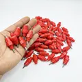Lot de 100 tétines abreuvoir automatiques pour volailles – 2