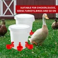 Lot de 2 à 6 gobelets abreuvoir automatiques pour volailles – 1