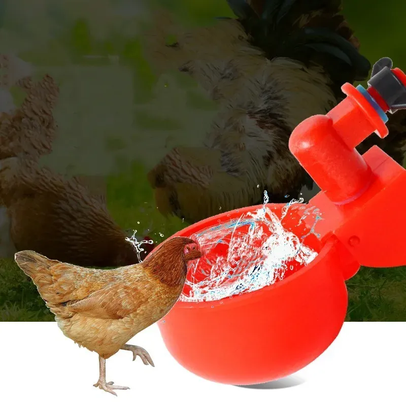 Lot de 2 à 6 gobelets abreuvoir automatiques pour volailles