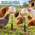 Lot de 2 mangeoires à céréales avec piquet de sol 40 cm – 3