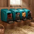 Lot de 4 pondoirs confortables avec collecte d'œufs – 1