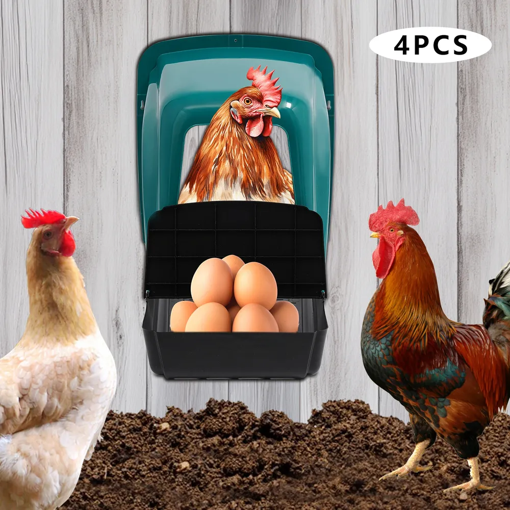 Lot de 4 pondoirs confortables avec collecte d'œufs