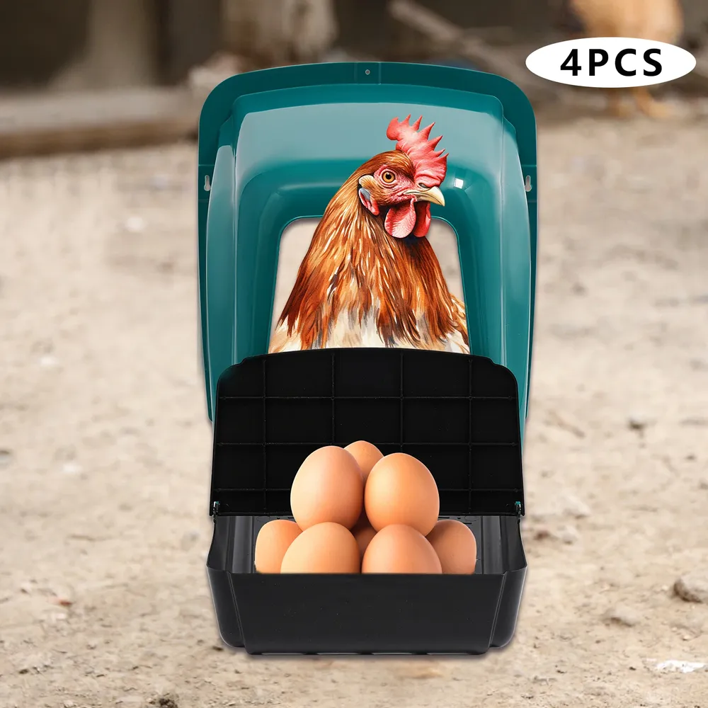 Lot de 4 pondoirs confortables avec collecte d'œufs