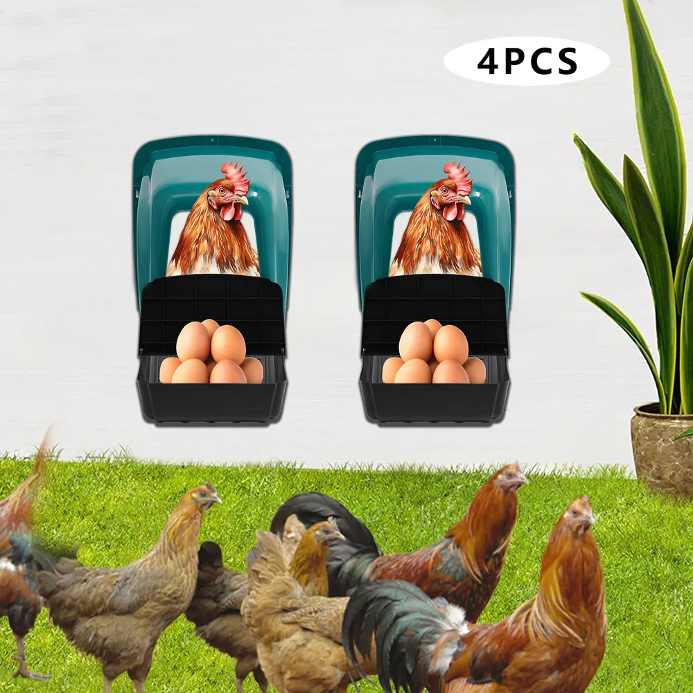 Lot de 4 pondoirs confortables avec collecte d'œufs