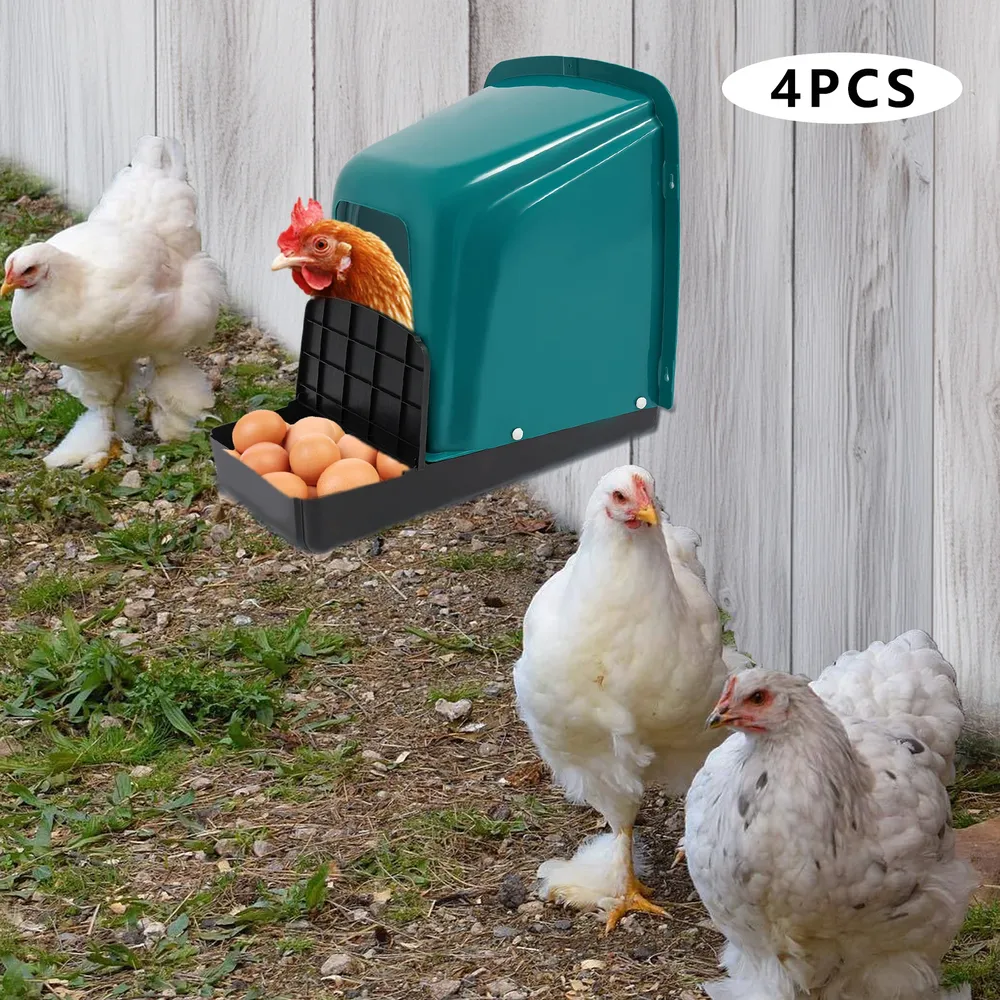 Lot de 4 pondoirs confortables avec collecte d'œufs