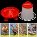 Mangeoire à pied pour poulets et volailles 3 kg – 4