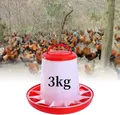 Mangeoire à pied pour poulets et volailles 3 kg – 5