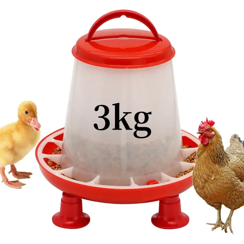 Mangeoire à pied pour poulets et volailles 3 kg