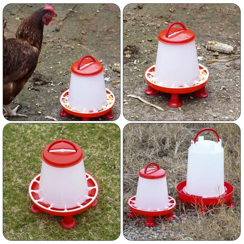 Mangeoire à pied pour poulets et volailles 3 kg