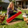 Mangeoire à pigeons 28 trous grande capacité pour poussins – 3