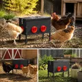 Mangeoire à poulet 15 kg noire 42x20,5x33 cm – 5