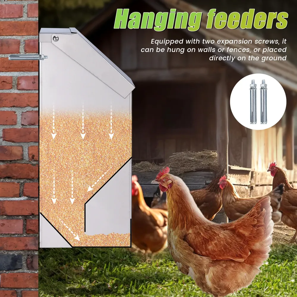 Mangeoire à poulet en inox automatique grande capacité
