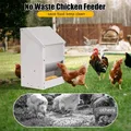 Mangeoire à poulet inox grande capacité 10L pour extérieur – 5