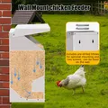 Mangeoire à poulet inox grande capacité 10L pour extérieur – 6