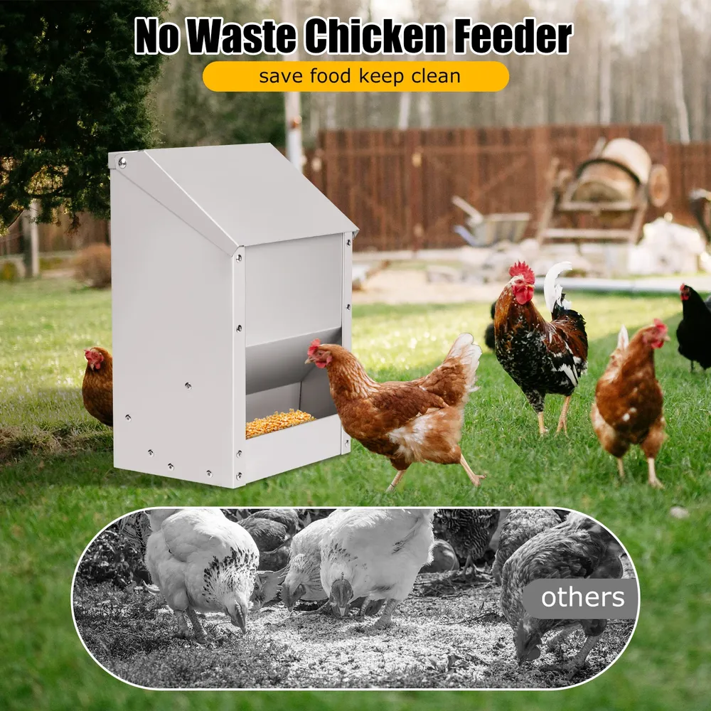 Mangeoire à poulet inox grande capacité 10L pour extérieur