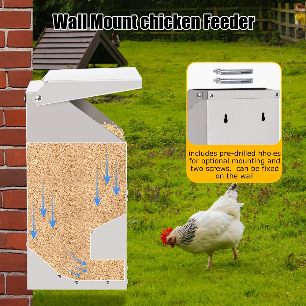 Mangeoire à poulet inox grande capacité 10L pour extérieur