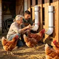 Mangeoire à poulet sans gaspillage type tuyau étanche – 4