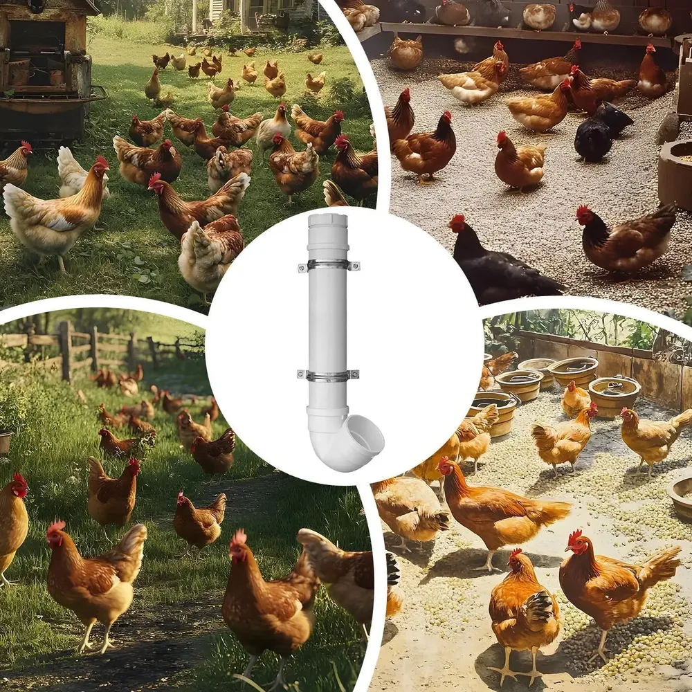 Mangeoire à poulet sans gaspillage type tuyau étanche